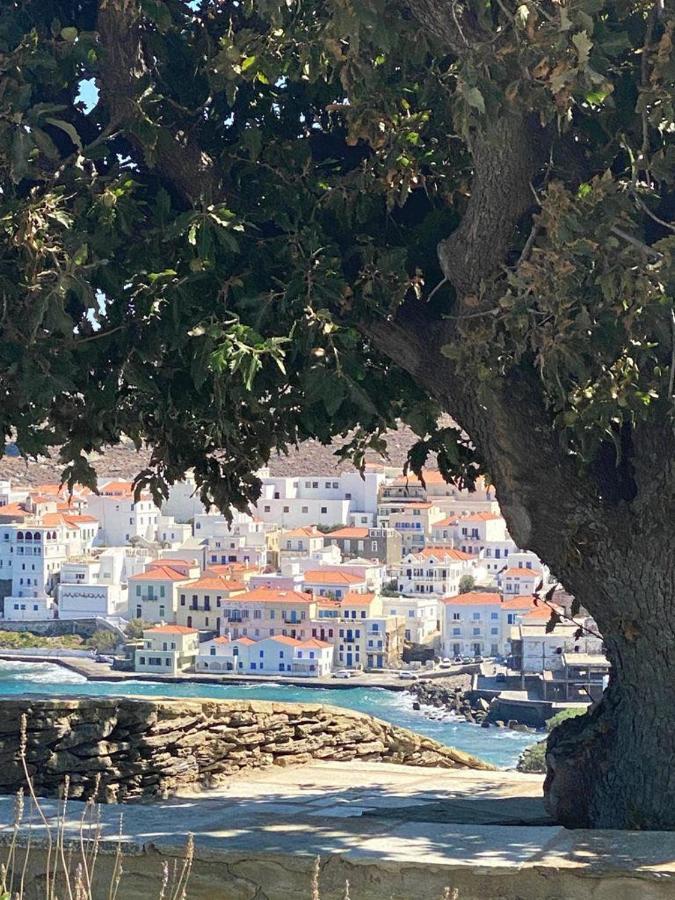 Harma Villas Ándros エクステリア 写真