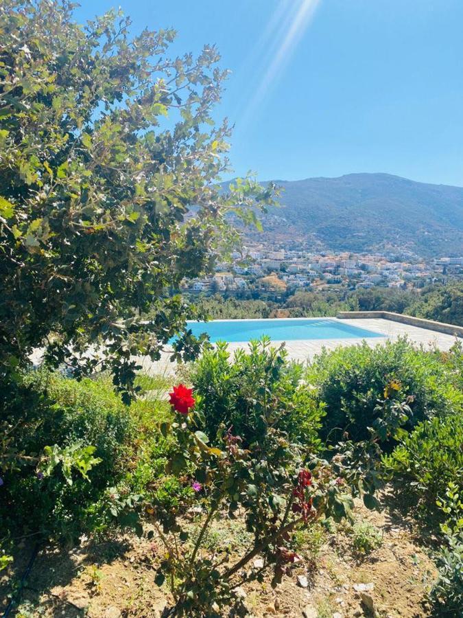 Harma Villas Ándros エクステリア 写真